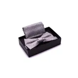 Set de moña preatada y pañuelo de bolsillo gris con diseño de puntos y toques de color.