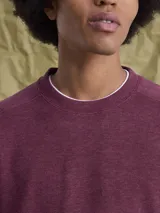 Buzo de cuello redondo confeccionado en tejido fleece, de corte clásico y manga larga, con puños y ruedo acanalados.