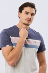 Remera de algodón de corte clásico y manga corta, con diseño de franjas horizontales en tonos azul, beige, verde y azul marino sobre base blanca.