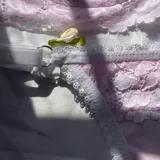 Conjunto de lencería de dos piezas color rosado, compuesto por un soutiene con aro y detalles de encaje, y una bombacha a juego.