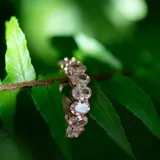 Anillo de acero con acabado en oro rosa, con cristales ovalados rosas engarzados en todo el contorno.