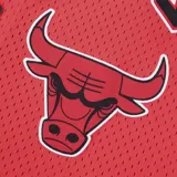 Camiseta de básquet negra con cuello y mangas a rayas blancas y violetas. Estampado frontal con el nombre "Lakers" en letras violetas con borde dorado y el logo del equipo. Cierre frontal con botones a presión.