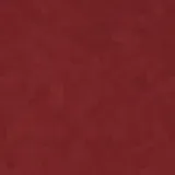 Remera de hombre de manga corta, color ladrillo, confeccionada en algodón suave y liviano. Presenta cuello redondo y bolsillo en el pecho con borde en chambray y logo bordado de pingüino.