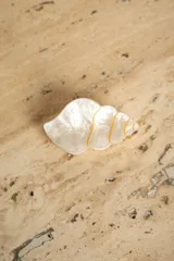 Broche con forma de caracola color blanco nacarado con detalles dorados.