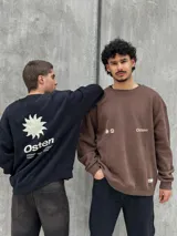 Buzo marrón con logo "Osten" y diseño gráfico de sol en color beige. Corte oversize, cuello redondo y mangas largas.