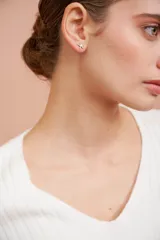 Par de caravanas plateadas con forma de estrella de cinco puntas.