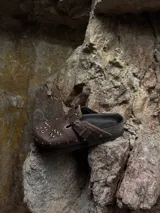 Zuecos de cuero marrón con diseño vintage, tachas plateadas y hebilla lateral.