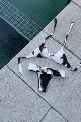 Conjunto de bikini con estampado a cuadros, compuesto por un corpiño triangular con argolla y tiras para atar al cuello y espalda, y una bombacha vedetina ancha con frunces delanteros y traseros.