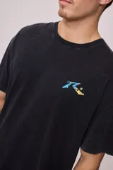 Remera negra de hombre con estampa azul y amarilla en la espalda.
