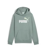 Buzo con capucha Puma, color verde, con bolsillo frontal tipo canguro y logo de la marca estampado en el pecho.