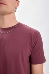 Remera de manga corta color bordó con estampa slub.