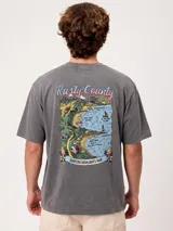 Remera de manga corta color gris con efecto lavado, calce holgado y gran estampado en la espalda con diseño de mapa y texto de la marca.