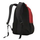 Mochila grande color bordó, con bolsillo lateral de red, dos bolsillos frontales, correas acolchadas ajustables, interior con repartición para notebook y espalda AirFresh.