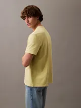 Remera color verde claro con cuello redondo y manga corta. Presenta un pequeño escudo bordado en el centro del pecho.
