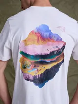 Remera gris de corte clásico con estampa artística en la espalda que representa capas geológicas coloridas y la palabra Biosphere.