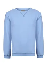 Buzo de algodón orgánico color celeste, con diseño clásico de cuello redondo, mangas largas y terminaciones en rib en cuello, puños y pretina. Presenta costuras decorativas en V en el escote y un pequeño logo bordado en el pecho.