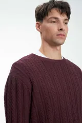 Sweater color gris claro de punto trenzado, con cuello redondo y mangas largas.