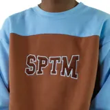 Buzo marrón y celeste de felpa con cuello redondo y mangas largas. Estampado con letras blancas en el pecho.