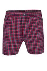 Calzoncillo tipo bóxer de tela a cuadros, en tonos azul marino, verde y blanco, con cintura elástica y pequeña etiqueta con logo en la parte central.