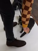 Botas tipo chukka de cuero color marrón, con cordones y suela de goma.