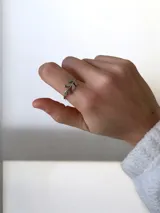 Anillo de acero quirúrgico con diseño de hoja minimalista.