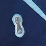 Camiseta de fútbol Adidas de la Selección Argentina, modelo visitante de la temporada 2006. Es de color azul marino con detalles en celeste y blanco, cuello redondo y el número 19 estampado en el frente. Incluye el logo de Adidas y el escudo de la AFA con dos estrellas.