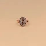 Anillo de diseño ovalado con símbolo de medicina en relieve, elaborado en combinación de plata 925 y oro 9k.