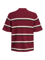 Sweater polo de punto a rayas horizontales en tonos bordó, verde oscuro, blanco y beige, de manga corta y cuello camisero con cierre frontal de botones.
