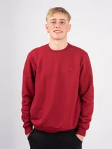 Buzo deportivo gris oscuro de algodón con felpa, cuello redondo y corte clásico.