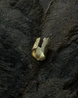 Anillo abierto de diseño rústico y orgánico, con textura irregular que evoca la naturaleza. Realizado artesanalmente en metal.