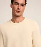 Suéter masculino de cuello redondo y manga larga, confeccionado en tejido de punto liso. Presenta un diseño básico y versátil, ideal para uso diario.