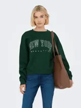 Buzo verde oscuro de manga larga con cuello redondo y puños acanalados. Presenta un fit holgado y un largo corto. Estampado frontal con la frase "NEW YORK MANHATTAN" en blanco.