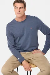 Remera manga larga lisa, color gris claro, con cuello redondo y logo bordado en el pecho.