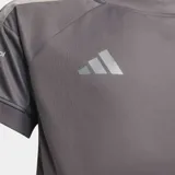 Camiseta deportiva Adidas de la escudería Audi F1 Team, color gris con detalles en plateado. Presenta cuello redondo, mangas cortas con las icónicas tres tiras de la marca en los hombros y logotipos estampados de Audi, Revolut y Pirelli en el frente y mangas.