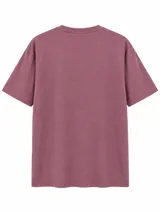 Remera de manga corta color gris con cuello redondo y estampado tipográfico negro en el pecho de la marca Grego.
