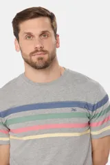Remera de manga corta color gris melange, con cuello redondo y diseño de rayas horizontales estampadas en el pecho en tonos azul, verde, rosa y amarillo.