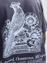 Remera gris oscuro de manga corta y cuello redondo, con corte holgado y pequeño estampado en el pecho.