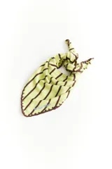 Pañuelo triangular de tejido de punto con diseño de rayas horizontales en tonos azul y celeste. Presenta bordes con acabado deshilachado.