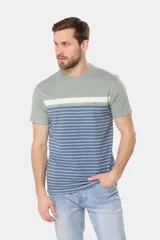 Remera de manga corta gris con rayas horizontales azules y blancas.