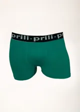 Boxer verde esmeralda de microfibra sin costuras, con cintura elástica negra con logo en blanco.