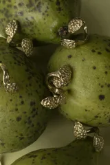 Anillo dorado con diseño de coral marino.