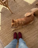 Zapatillas urbanas de cuero vacuno color negro, con suela alta y cordones.