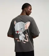 Remera gris de corte boxy, confeccionada en tejido de punto con efecto desteñido. Presenta cuello redondo, mangas cortas y estampado de Pinky y Cerebro en la espalda.