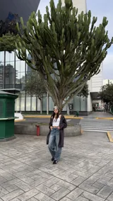 Pantalón jean de corte recto y tiro alto con lavado suave.