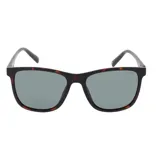 Lentes de sol INVU modelo IB22537B, con montura marrón carey y lentes polarizadas grises.