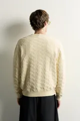 Jersey de punto regular fit color beige, con cuello redondo y diseño de textura geométrica en zigzag.
