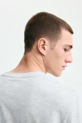 Remera de manga corta, cuello redondo ribeteado, color gris melange.