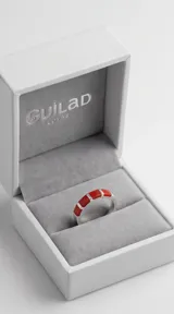 Anillo de banda de plata 925 con incrustaciones rectangulares de pasta de coral rojo.