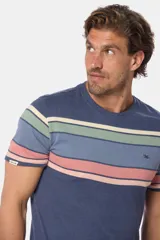 Remera de manga corta con cuello redondo y diseño rayado multicolor en tonos azules, beige, verde y rosado, con pequeño logo bordado en el pecho.