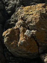 Anillo de diseño abierto con estructura de rejilla entrelazada, elaborado artesanalmente en metal con acabado plateado.